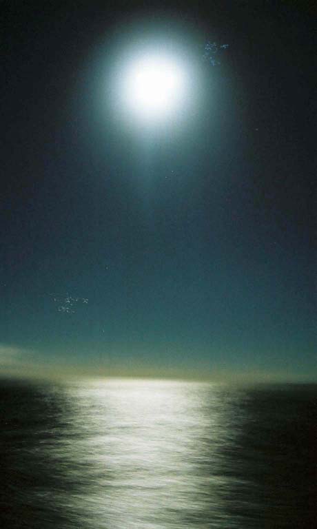 ضوء القمر لعيون ضوء القمر MoonLight2
